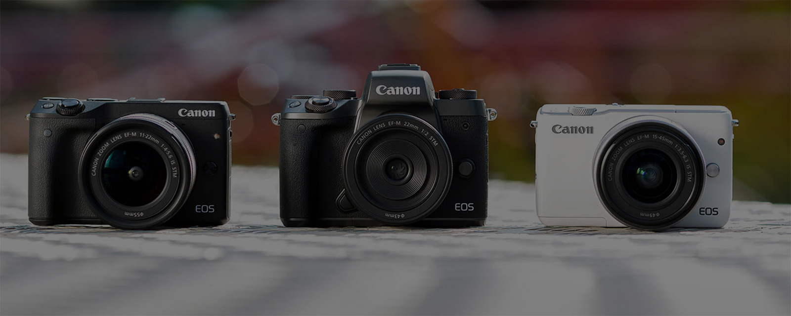 Canon EOS M5 family