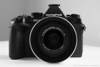 Olympus M.ZUIKO DIGITAL 25mm sample foto